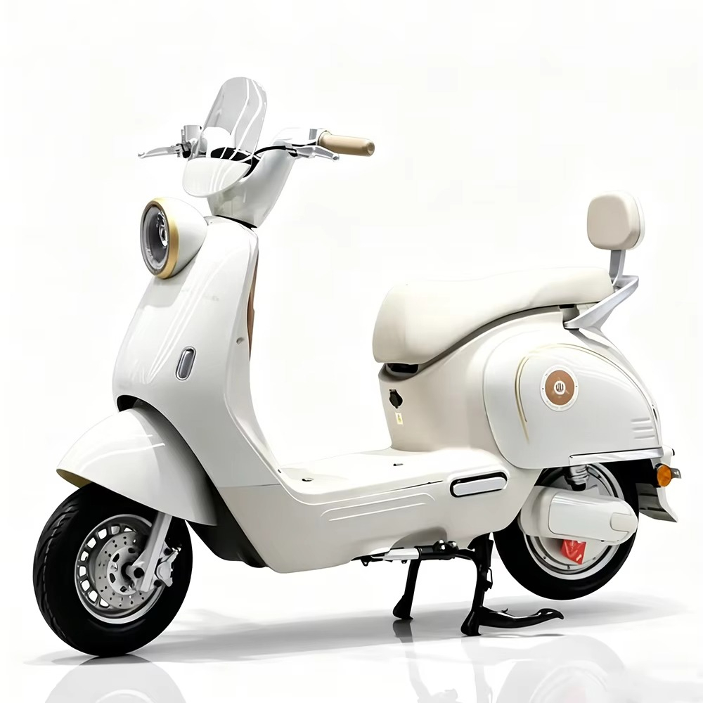 Moto électrique pour adultes E - Brake Disc Motorcycle avis et prix